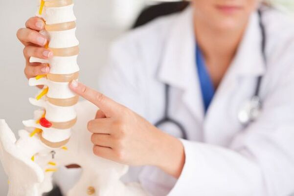 el médico muestra un modelo de la columna vertebral